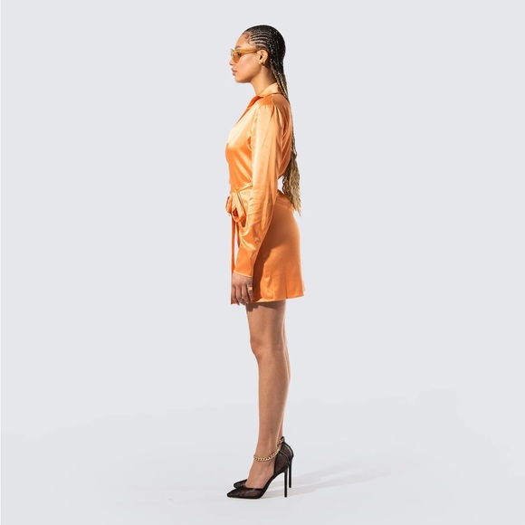 Finesse Remi Wrap Shirt Dress - Picture 9 of 14